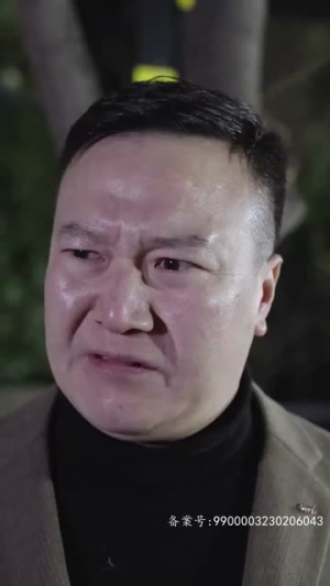 黯然失色（80集）演的怎么样