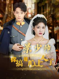 景少帅你搞错心上人了（100集）热门短剧大全