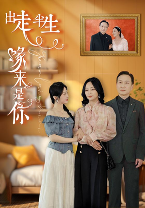 出走半生缘来是你（83集）精彩短剧追不停