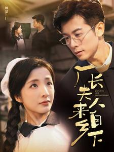 厂长夫人来自乡下（60集）免费在线看全集