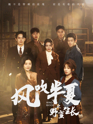 风吹半夏之野蛮生长（59集）在哪看
