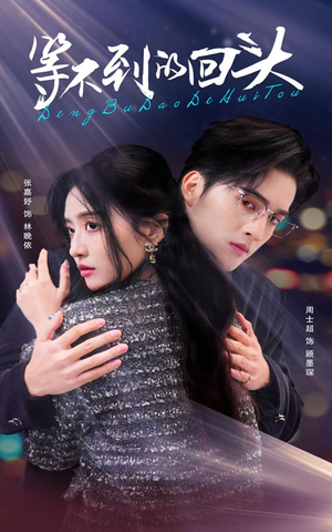 等不到的回头(35集) 等不到的回头(35集)UC网盘在线看