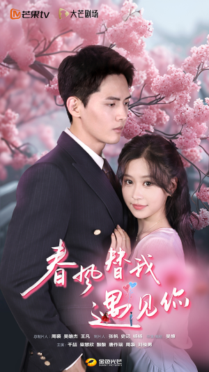 春风替我遇见你（100集）口碑之选免费看