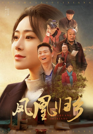 凤凰归乡（33集）最新热播短剧