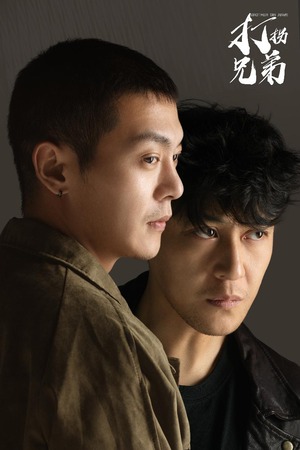 打拐兄弟（30集）短剧推荐上热门