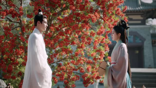 度华年（40集）短剧热播中