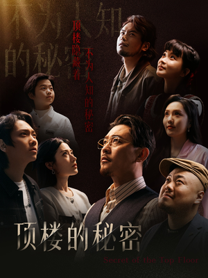 顶楼的秘密（30集）全部免费看全集