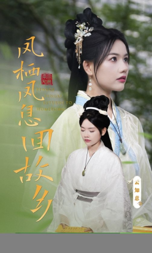 凤栖凤息回故乡（36集）好看到停不下来