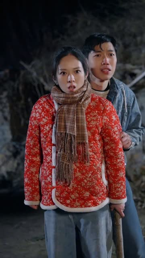 福神奶奶旺全家（31集）在哪看免费