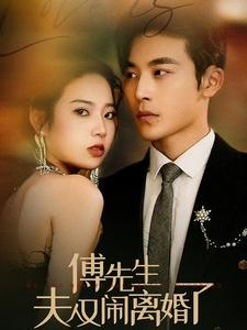 傅先生夫人又闹离婚了（80集）大结局