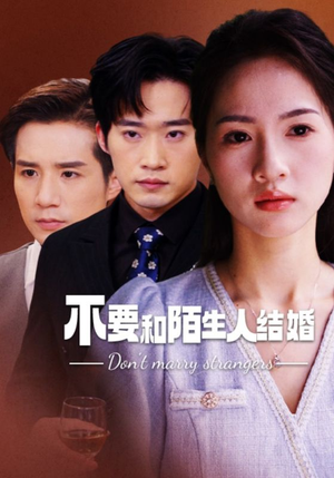 不要和陌生人结婚（90集）精彩短剧看不停