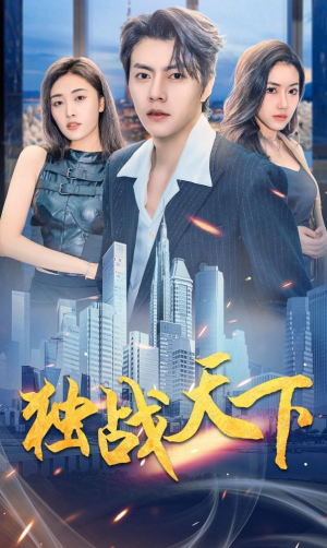 独战天下（73集）全集一次看完