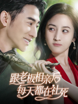 跟老板相亲后每天都在社死（83集）全集免费观看