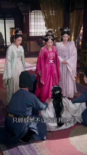 宫锁南枝（31集）第三季