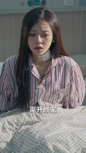 何处是归宿（60集）免费观看