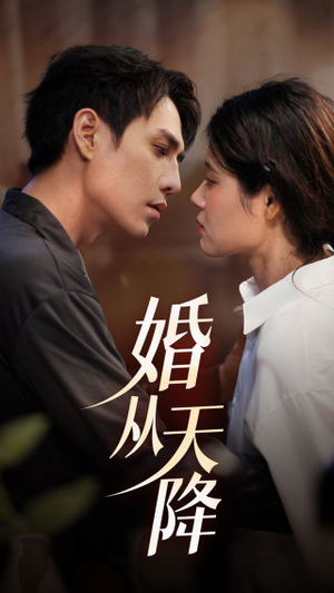 婚从天降（92集）免费观看