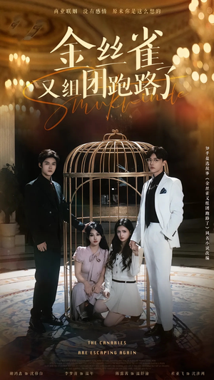 金丝雀又组团跑路了（长篇）海量短剧免费看