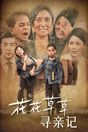 花花草草寻亲记（42集）在线看