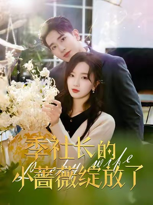 季社长的小蔷薇绽放了（60集）贝贝短剧分享