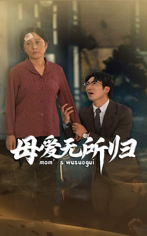 母爱无所归（33集）百度网盘在线看