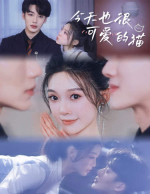 今天也很可爱的猫（72集）好看的短剧来了