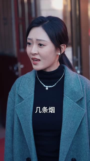 回家过年遇到极品亲戚（29集）短剧太好看