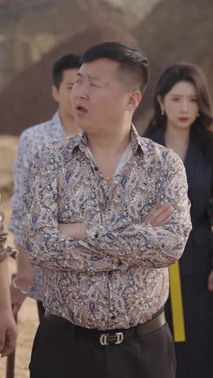 我的冰山女总裁（96集）红果免费看短剧