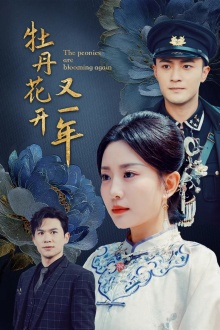 牡丹花开又一年（60集）精彩短剧热播