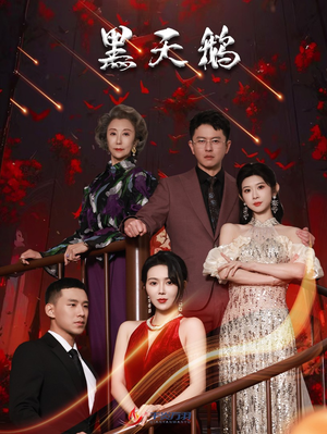 黑天鹅(51集) 黑天鹅(51集)排行榜前十短剧