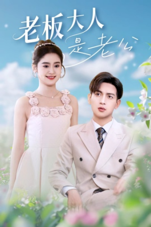 老板大人是老公（45集）短剧