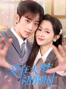 爱在大梦初醒时（100集）在线看免费版