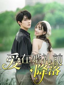 爱在婚礼前降落（50集）排行榜前十短剧