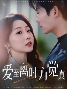 爱至离时方觉真（101集）短剧追到爽