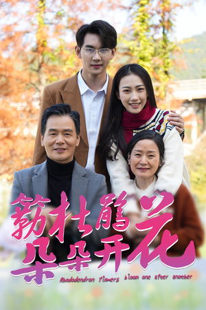 簕杜鹃花朵朵开（38集）一口气看完