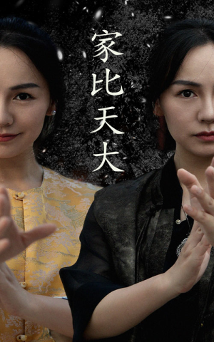 家比天大（63集）原创精彩短剧