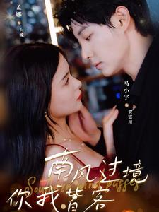 南风国境你我皆客(80集) 南风国境你我皆客(80集)短剧追不停