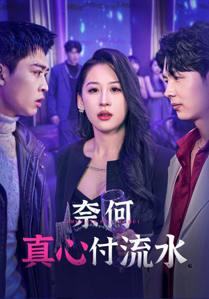 奈何真心付流水（46集）网盘在线观看