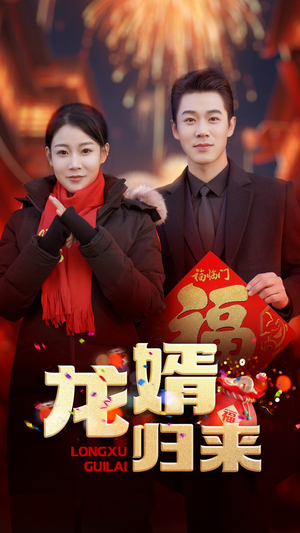 龙婿归来（27集）免费版