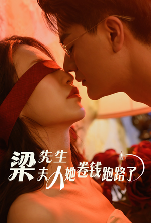 梁先生夫人她卷钱跑路了（60集）在线看