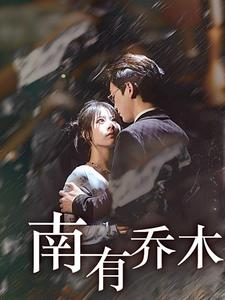 南有乔木（60集）短剧解说热门