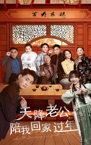 天降老公陪我回家过年（60集）高质量短剧推荐