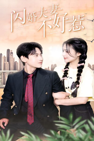 闪婚夫妻不好惹（90集）免费观看完整版