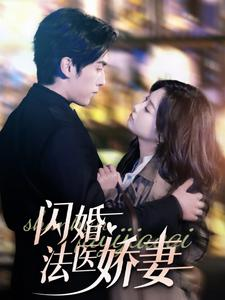 闪婚法医娇妻(92集) 闪婚法医娇妻(92集)百度在线观看