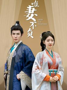 唯妻不负（80集）短剧后续更精彩