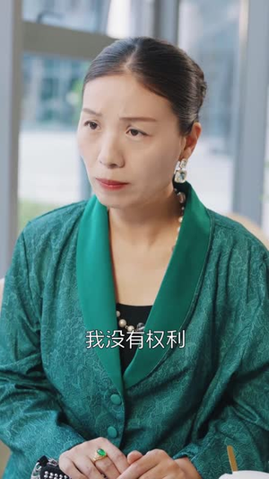 破产后我被前任缠上了(98集) 破产后我被前任缠上了(98集)免费观看全集