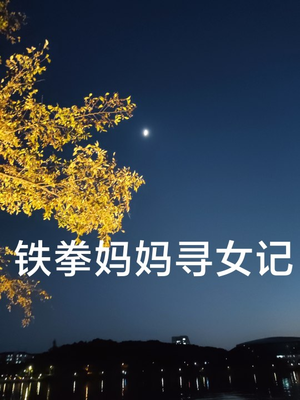 铁拳妈妈寻女记（69集）精彩好看的短剧