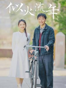 似火流年（100集）短剧在线看