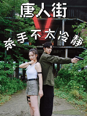唐人街杀手不太冷静（20集）完整版
