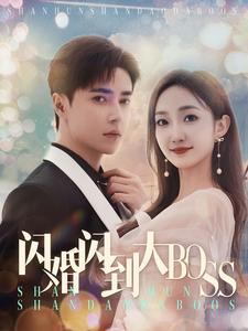 闪婚闪到大BOOS（76集）全集免费看短剧