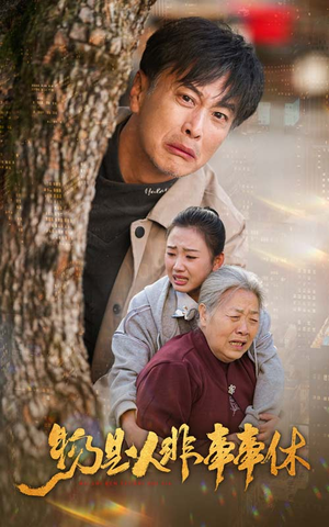 物是人非事事休（41集）好看的短剧来了